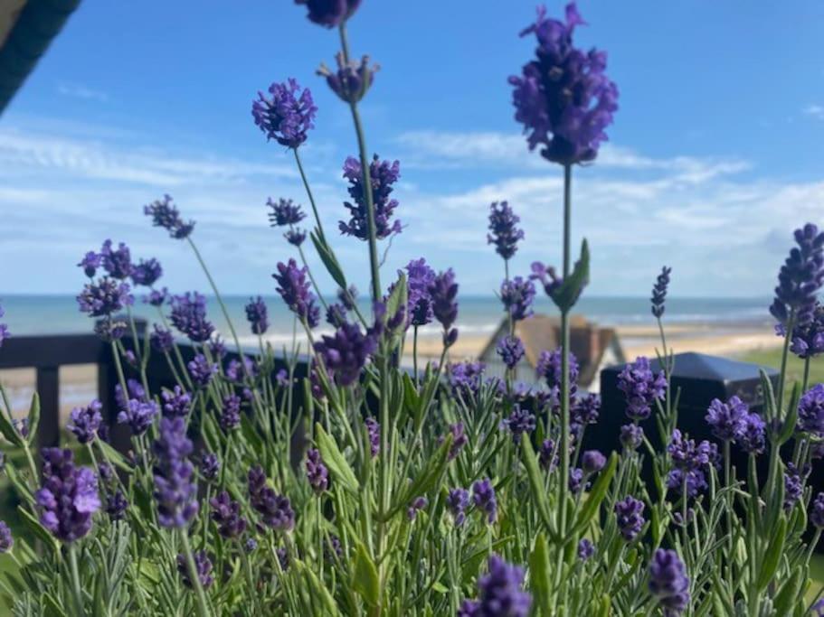 Sur La Plage / Enjoy The Beach Διαμέρισμα Cabourg Εξωτερικό φωτογραφία